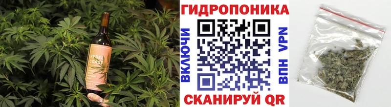 гидра ссылка  Болгар  Cannafood конопля 
