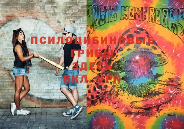 экстази Арсеньев