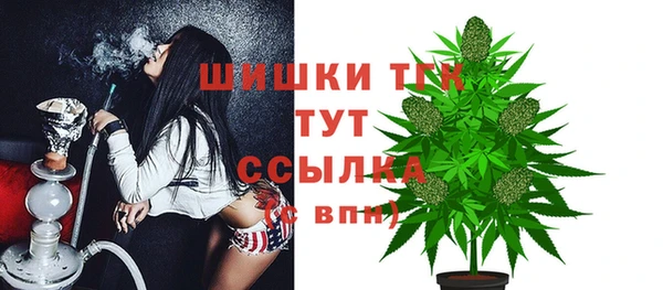экстази Арсеньев